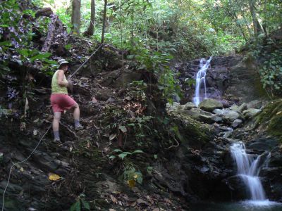 jungle rope climb