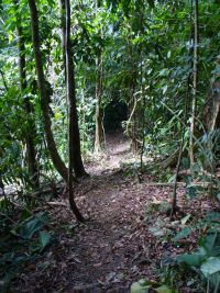 dominical hiking trail