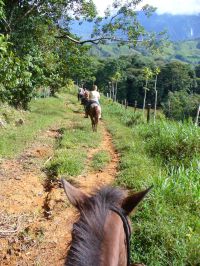 horse tour to Nauyaca falls